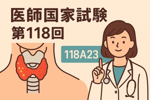 118A23のアイキャッチ画像